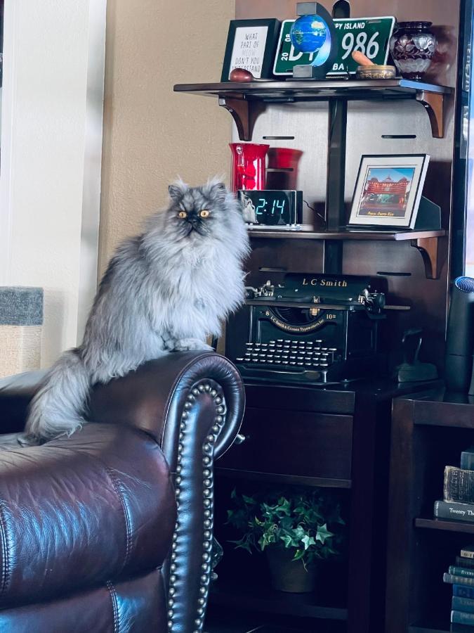 Ruskin Fl Private 2 Bdrm 1 Bath Suite Common Areas Shared With Host And Cat Buitenkant foto