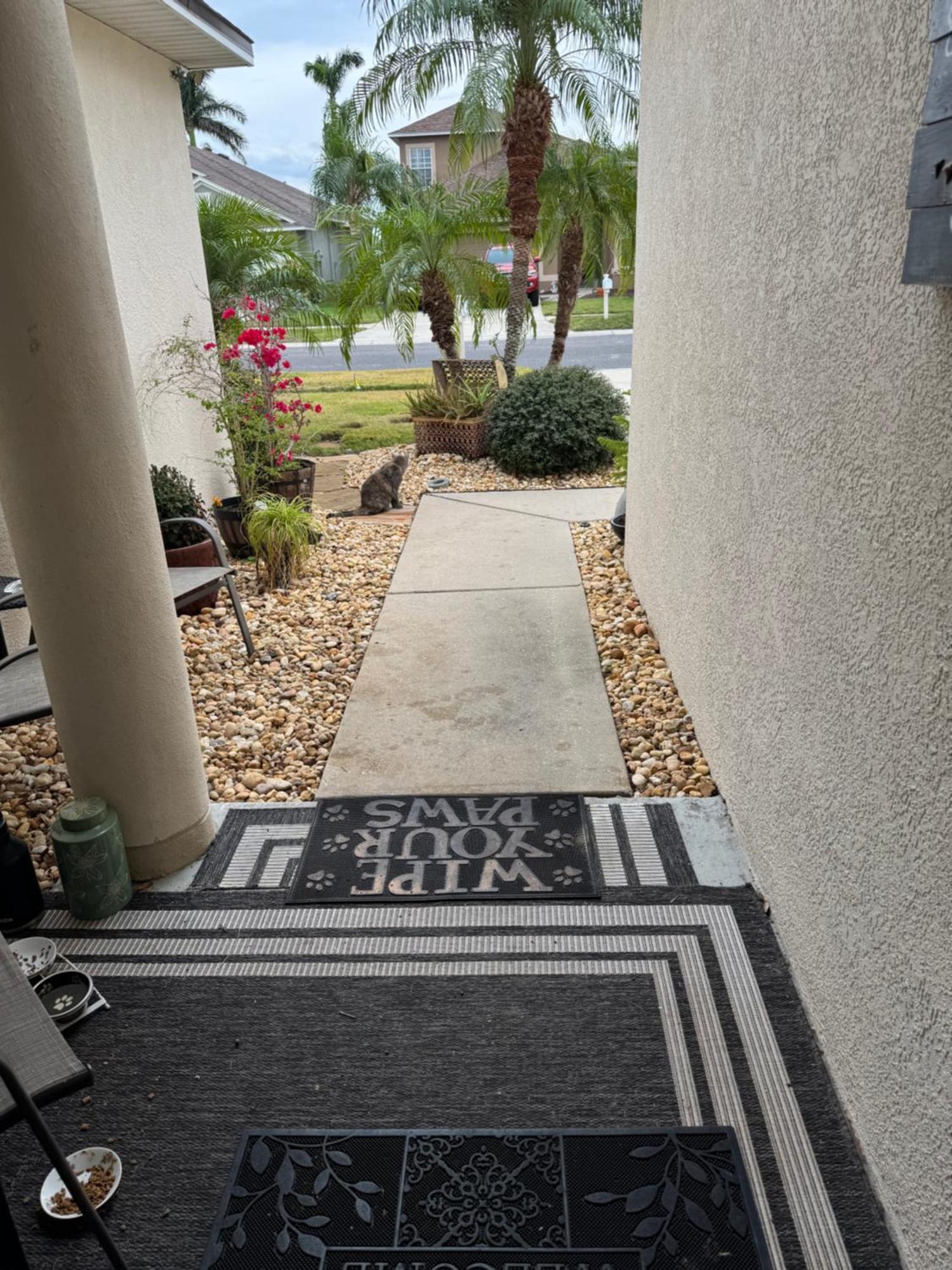 Ruskin Fl Private 2 Bdrm 1 Bath Suite Common Areas Shared With Host And Cat Buitenkant foto